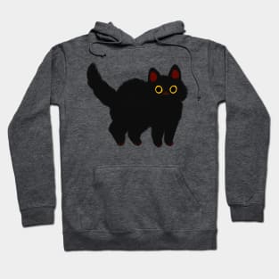 fluffy black cat Hoodie